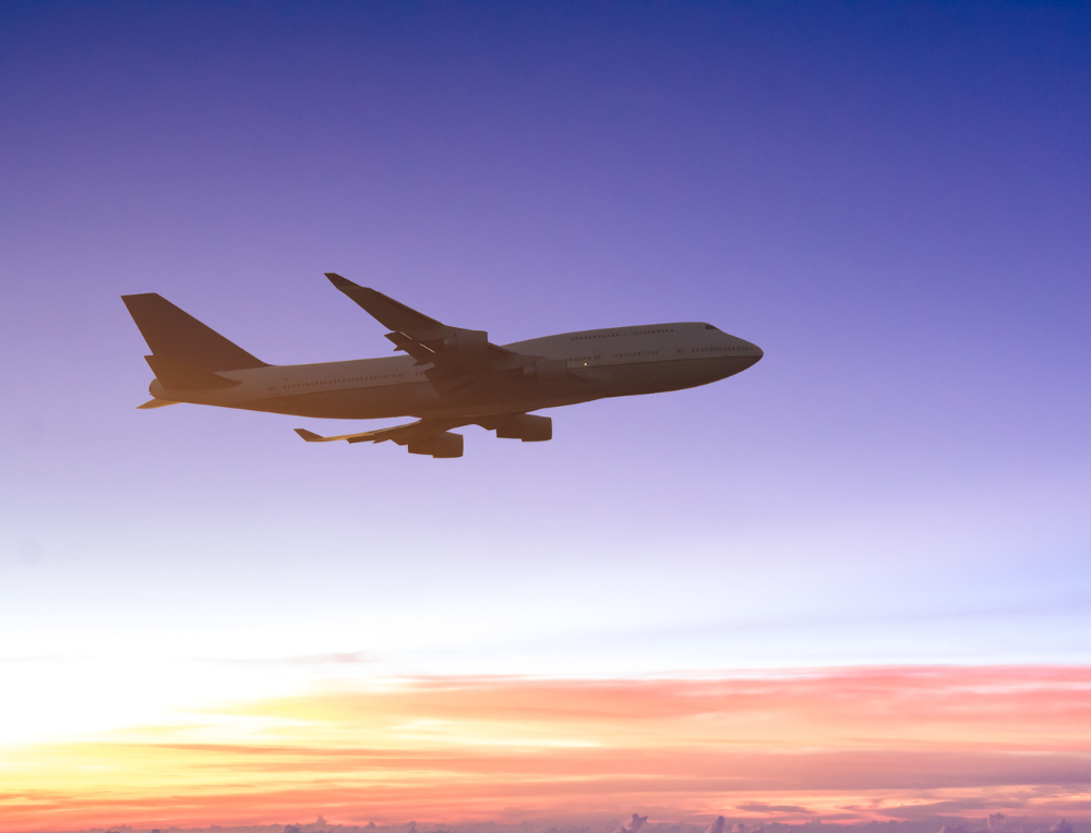 Rolling sewing machine tote for travel